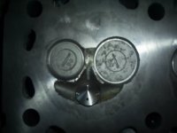 Head2.JPG