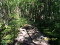 100_0923c.jpg