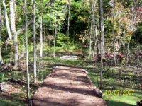 100_0947c.jpg