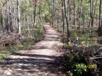100_0952c.jpg