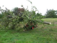 IMG_0292.JPG