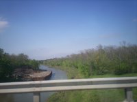 Todays pics 028.jpg