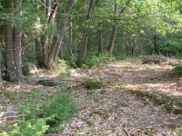 DSCF0582 (Medium).JPG