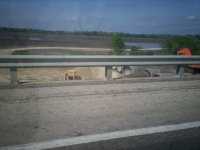 Todays pics 032.jpg