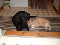 Josie & Bentley 1 (Medium).jpg