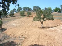 Hillside 025.jpg