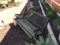 IMG_1408.jpeg