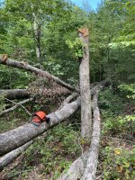 IMG_5514.JPG