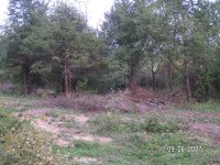 food plot.jpg