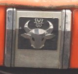 Bull.jpg