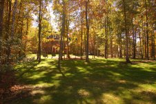 New Front Yard.jpg