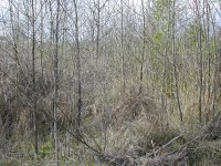 DSCN2093.JPG