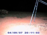 Z,  9 Apr 2007.jpg