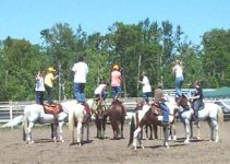 chickendanceB42206.jpg