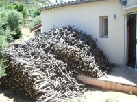 Firewood.jpg