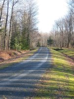 IMG_2298.jpg