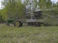 Brush clearing 1.jpg