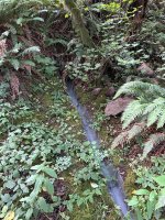 IMG_0715.jpeg