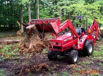 Stump2s.JPG