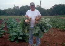 Turnip-Rutabaga.jpg
