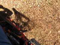 leaf exhaust.jpg