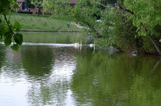 Dscf1370.jpg