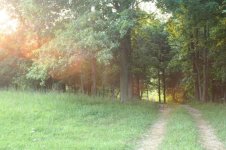 Creek road.jpg