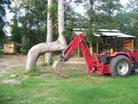 08-11-07 Tree that straightened line fitting.jpg