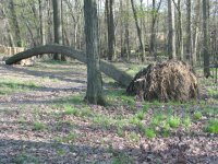 IMG_1407.JPG