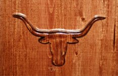 Longhorn Head.jpg
