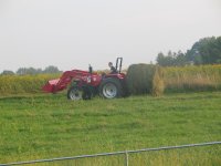 IMG_8650.JPG
