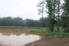 East side of the peninsula.jpg