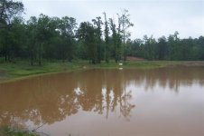 West side of the peninsula.jpg