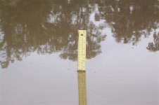 Yard stick showing water level.jpg