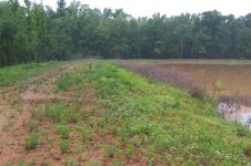 Dam in need of mowing.jpg