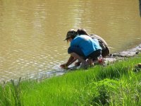 The kids catching tadpoles.jpg