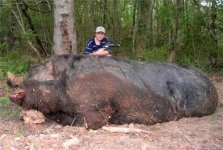 capt.a380d39070604b3a99b8346b8522a57c.monster_pig_aljr601.jpg