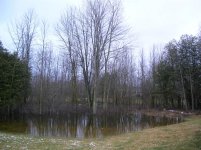 Depression Right side (Large).jpg