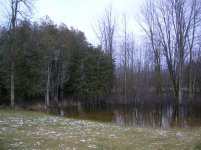 Depression Left side (Large).jpg