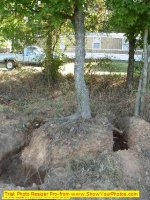 Tree dug around.jpg