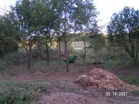 stump busting 2.jpg
