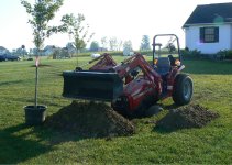 PlantingTrees1.JPG