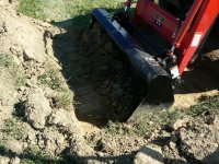 PlantingTrees2.JPG