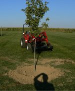 PlantingTrees4.JPG