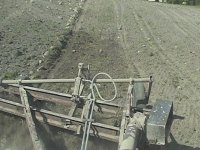 rock rake in action 3.jpg