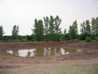 Pond-day1.jpg