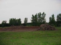 Pond-day1-2.jpg