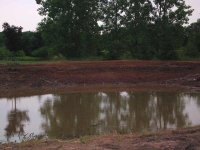Pond-day1-1.jpg