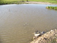 pond5 28 07 007.jpg
