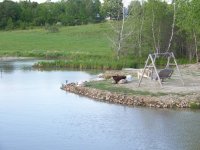 pond5 28 07 011.jpg